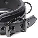 Master Series - Collared Temptress - Collar Met Tepelklemmen-Erotiekvoordeel.nl