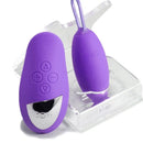 Dorr - Spot - Vibrerend Eitje plus Opleg Vibrator - Paars-Erotiekvoordeel.nl