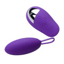Dorr - Spot - Vibrerend Eitje plus Opleg Vibrator - Paars-Erotiekvoordeel.nl