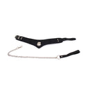 Basic Collar Met leash Van PU leer