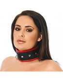 Brede En Gevoerde Leren collar Met D-ring Zwart/Rood