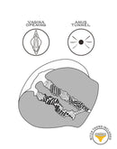 Lovetoy - Masturbator Streetgirls 12 - Lichte Huidskleur-Erotiekvoordeel.nl