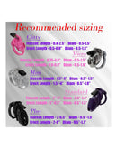 The Vice Micro - Kuisheidskooi - Peniskooi - Chastity Cage voor de Kleine Penis - Transparant-Erotiekvoordeel.nl